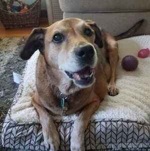 Meet your Posher, Red